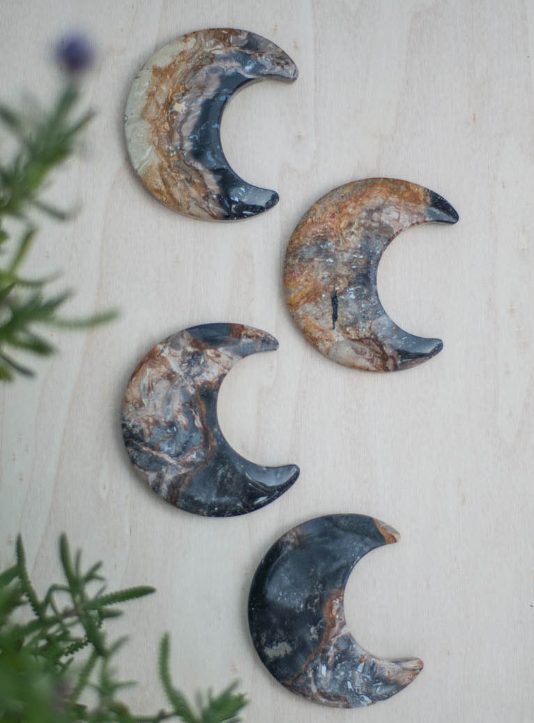 Fossilized Palm Root Moon | Fossils | Village Rock Shop